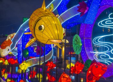 Hong Kong 2018 bahar fener sergi