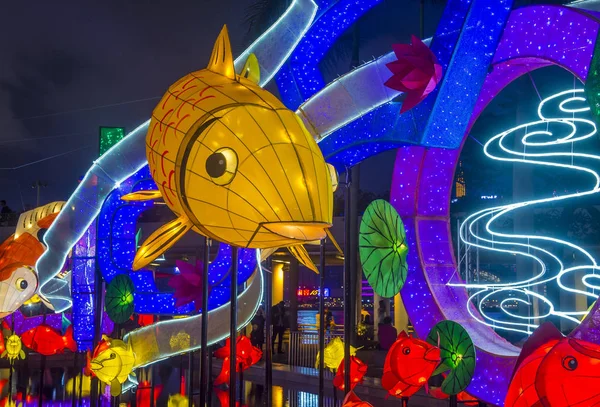 Hong Kong 2018 Mostra delle Lanterne di Primavera — Foto Stock