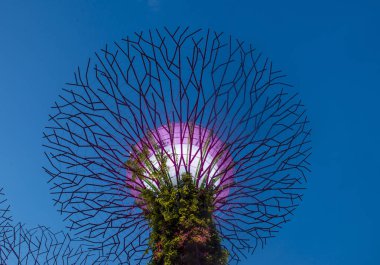 Singapur Körfezi 'ndeki Bahçeler