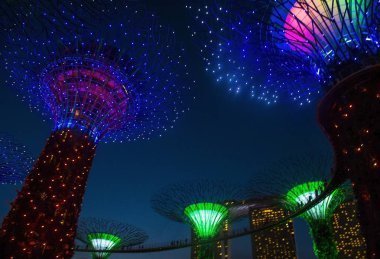 Singapur Körfezi 'ndeki Bahçeler