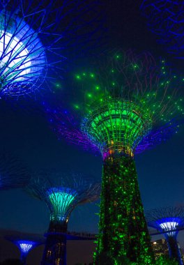 Singapur Körfezi 'ndeki Bahçeler
