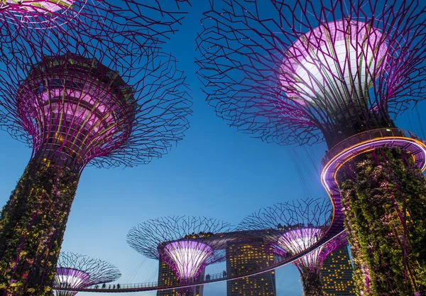 Jardines cerca de la bahía en Singapur — Foto de Stock