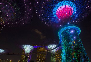 Singapur Körfezi 'ndeki Bahçeler