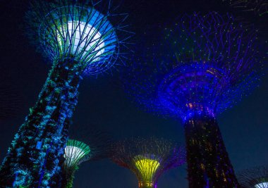 Singapur Körfezi 'ndeki Bahçeler