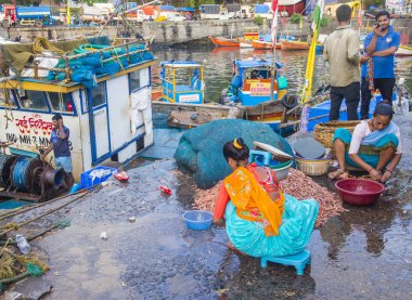 Sassoon Rıhtımı Mumbai Hindistan