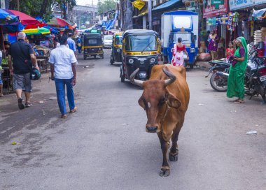 Mumbai Hindistan 'da Asalfa Mahallesi 