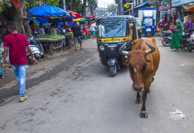 Mumbai Hindistan 'da Asalfa Mahallesi 