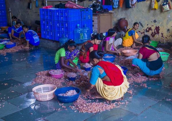 Muelles de Sassoon en Mumbai India —  Fotos de Stock