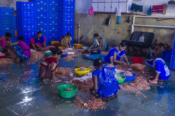 Muelles de Sassoon en Mumbai India —  Fotos de Stock