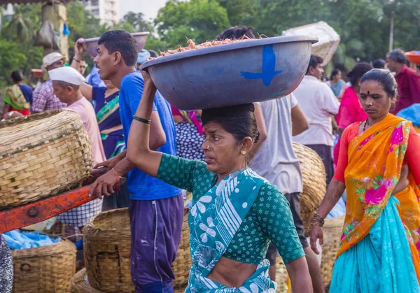 Sassoon Docks v Bombaji Indie — Stock fotografie