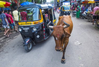 Mumbai Hindistan 'da Asalfa Mahallesi 