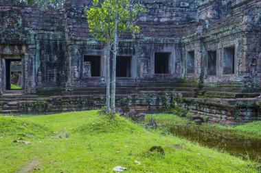 Kamboçya 'daki Ta Prohm tapınağı.