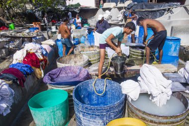 Sassoon Rıhtımı Mumbai Hindistan