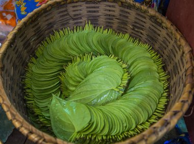 Myanmar 'da Betel yaprağı