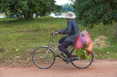 Siem Reap yakınlarındaki bir köyde Kamboçyalı çiftçi.