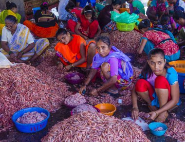 Sassoon Rıhtımı Mumbai Hindistan