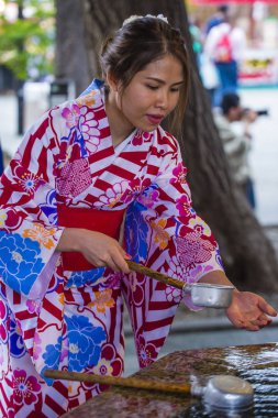 Chozuya Japon tapınağında