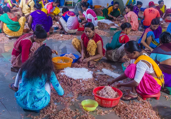 Muelles de Sassoon en Mumbai India —  Fotos de Stock