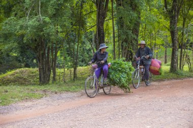 SIEM REAP , CAMBODIA - OCT 15 : Cambodian farmers travels on there bicycle in a village near Siem Reap Cambodia on October 15 2017. 