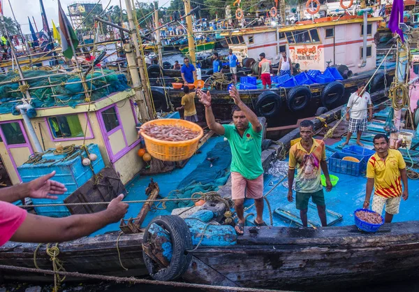 Mumbai India Ago Los Pescadores Indios Que Trabajan Los Muelles — Foto de Stock