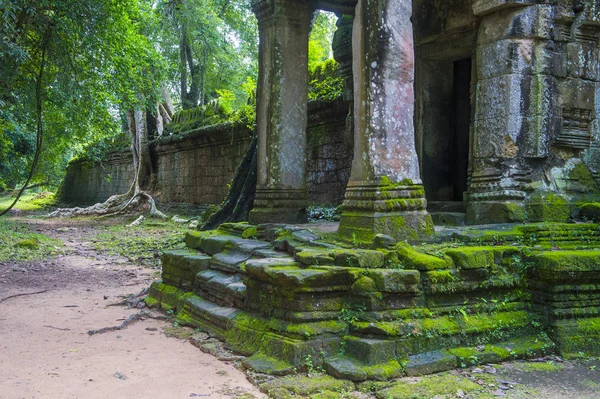 Siem Reap Cambodia Oct Templo Prohm Angkor Thom Siem Reap — Fotografia de Stock