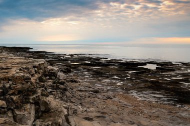 Savudrija Hırvat sahil
