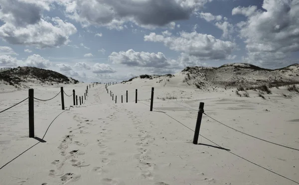 Deserto polaco no parque Slowinski narodowy / Parque Nacional Slowinski / Polónia — Fotografia de Stock