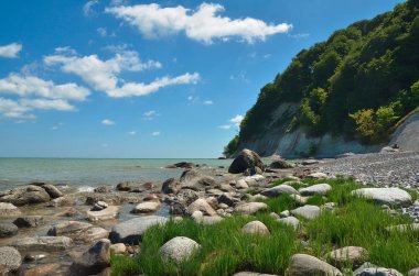 Tebeşir cliff Jasmund Ulusal Parkı, Almanya