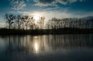 Gölet ile ağaçların arkasında bulutlu gün batımı