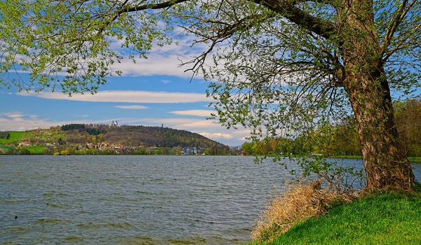 Landschaft mit Teich und Bäumen — Stockfoto