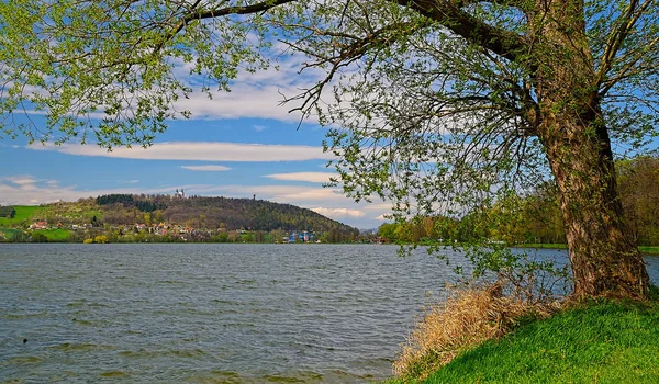 Landsbygden med damm och träd — Stockfoto