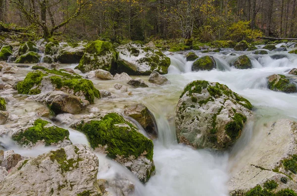 Sava wild river with stones, Bohinj, Slovenia — Stock Photo, Image