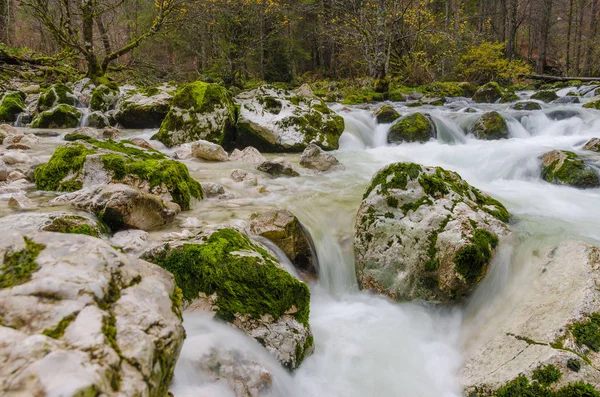 Sava wild river with many stones, Slovenia — Stock Photo, Image