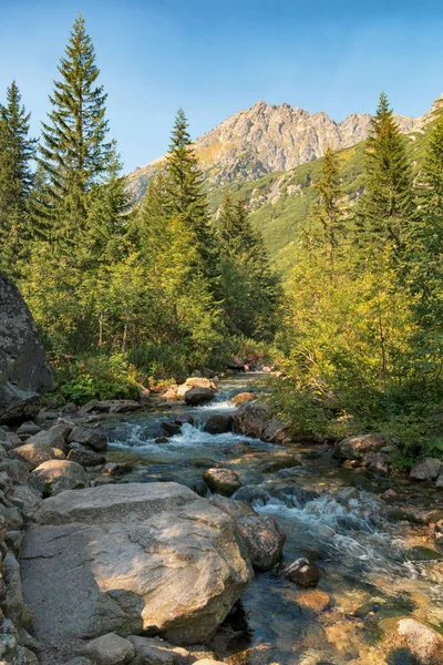 Roztoka 밸리, 높은 Tatras, 폴란드 — 스톡 사진