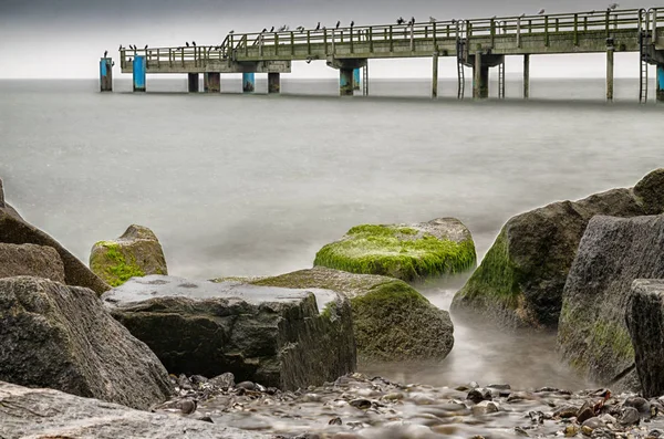 Playa con molo y aves en Sassnitz, Alemania — Foto de Stock