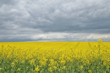 Karanlık bulutlu gökyüzü alanıyla tecavüz