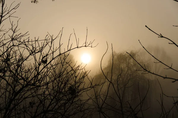 Ködös napkelte a vidék, a Cseh Köztársaság — Stock Fotó