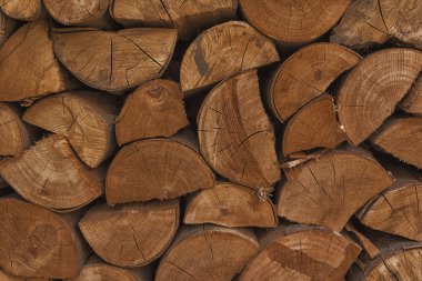 Beechwood kesit ile grup ahşap duvar