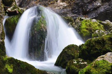 Şelale Savica vahşi nehrinde, Bohinj, Slovenya