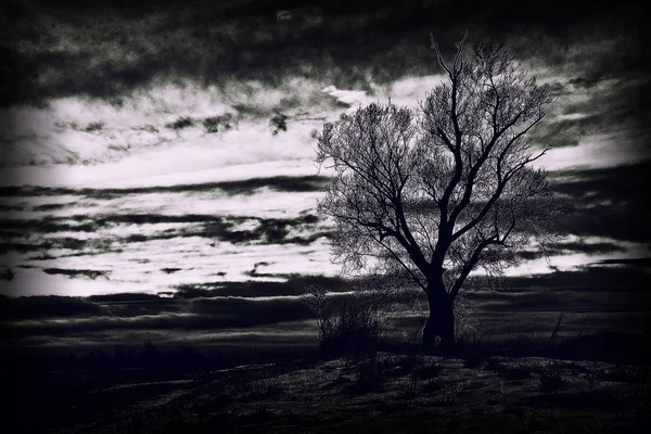 Bulutlu, karanlık günbatımı kış kırsal kesimde — Stok fotoğraf