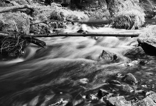 Kamenice Creek, parque nacional da Suíça Checa, República Checa — Fotografia de Stock