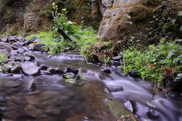 Kamenice creek, park narodowy Czeska Szwajcaria, Czeskiej Republi — Zdjęcie stockowe