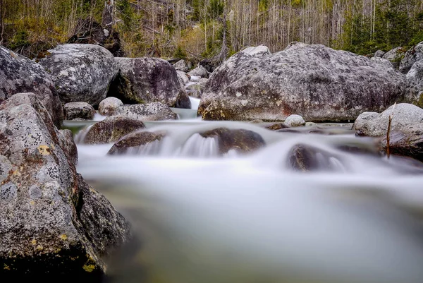 Cold creek v údolí samá voda, Vysoké Tatry, Slovensko — Stock fotografie