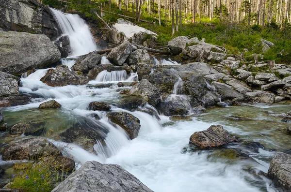 Cold creek v studené údolí, Vysoké Tatry, Slovensko — Stock fotografie