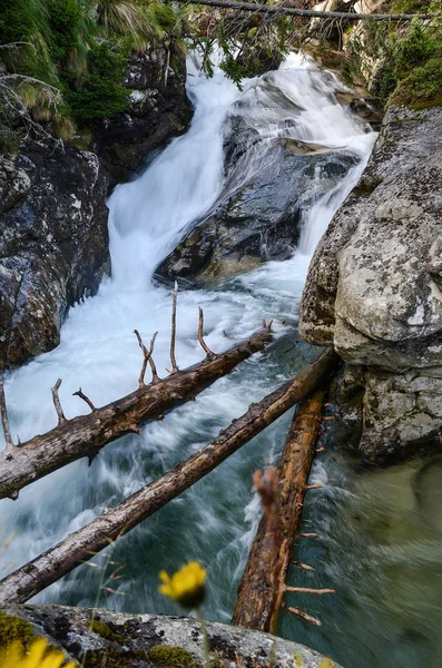 Cold creek in cold valey, High Tatras, Slovakia — Stock Photo, Image