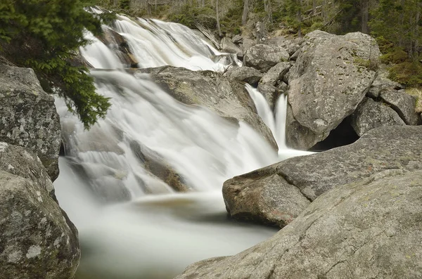 Ruscello freddo in Valey freddo, Alti Tatra, Slovacchia — Foto Stock