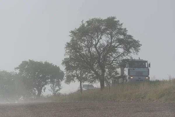 Foogy Veld Bomen Weg Met Auto — Stockfoto