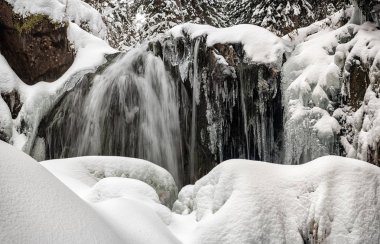 Jeseniky, Çek Cumhuriyeti 'nde vahşi beyaz Opava Nehri