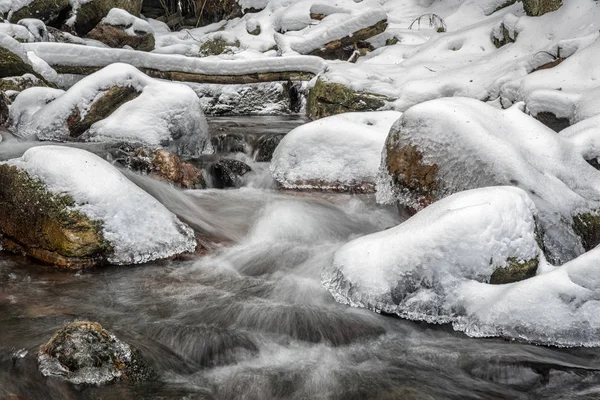 Rivière Opava sauvage à Jeseniky, République tchèque — Photo