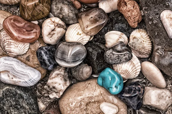 Tema Verão Com Conchas Pedras Coloridas Molhadas Areia Decoração — Fotografia de Stock